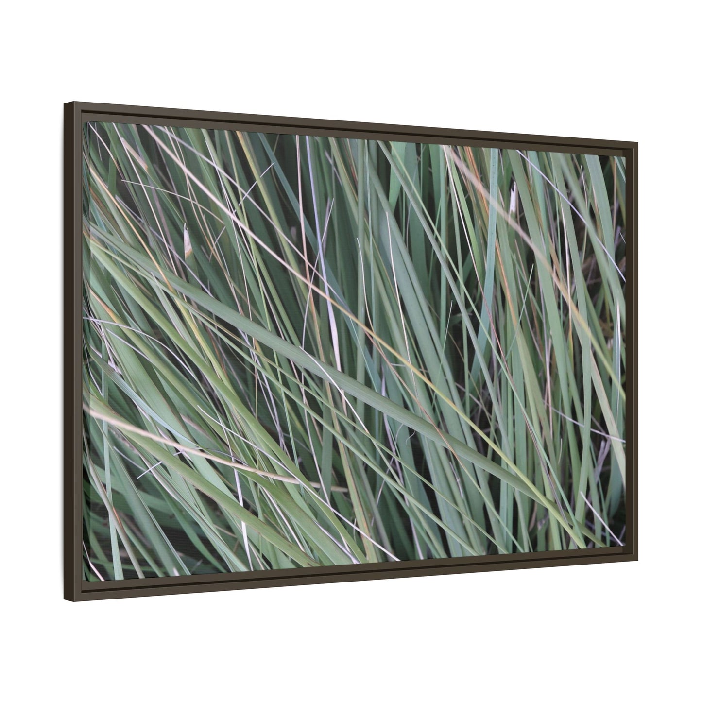 Grassland Symphony - Unique Stretched Canvas Wall Art - Art By Earth