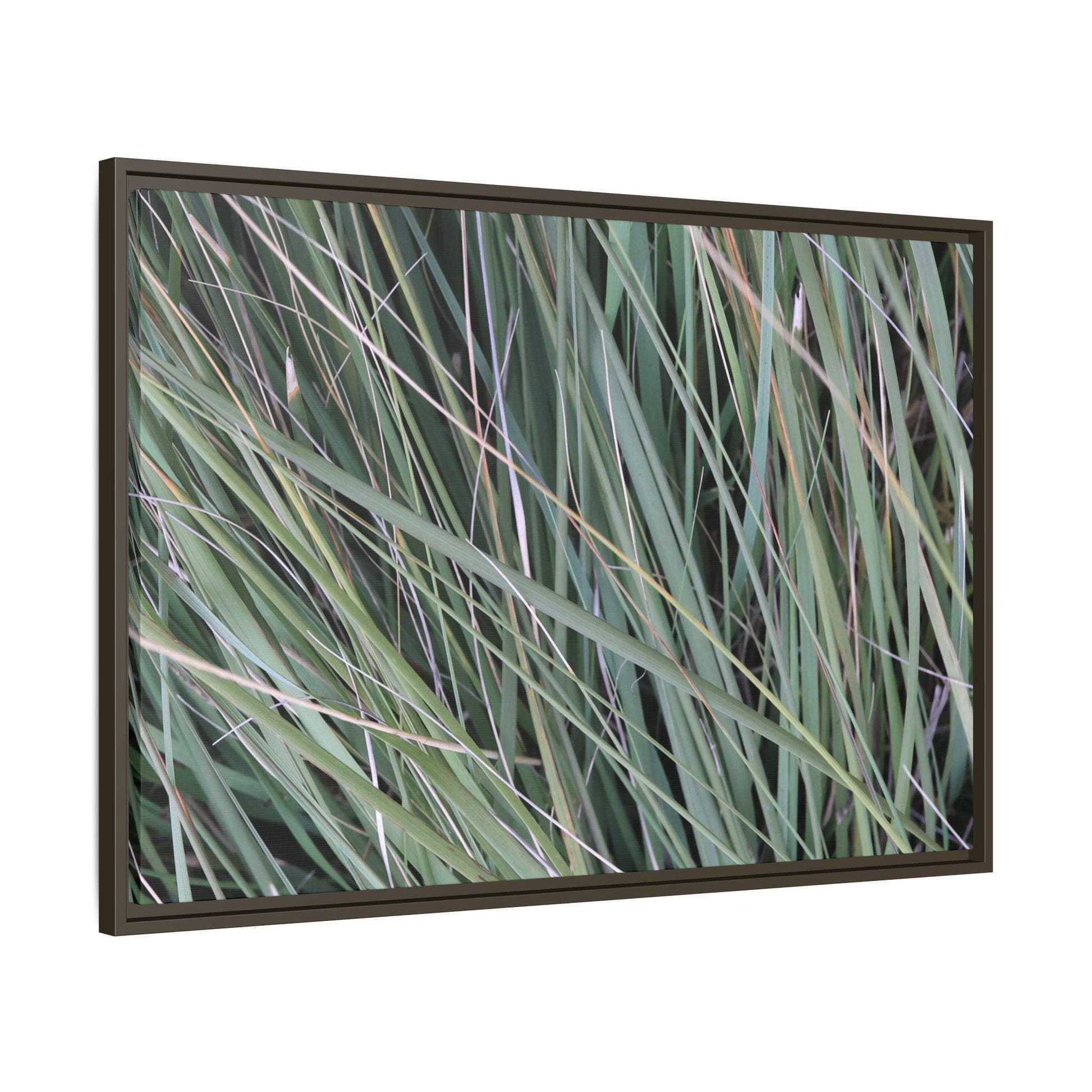Grassland Symphony - Unique Stretched Canvas Wall Art - Art By Earth