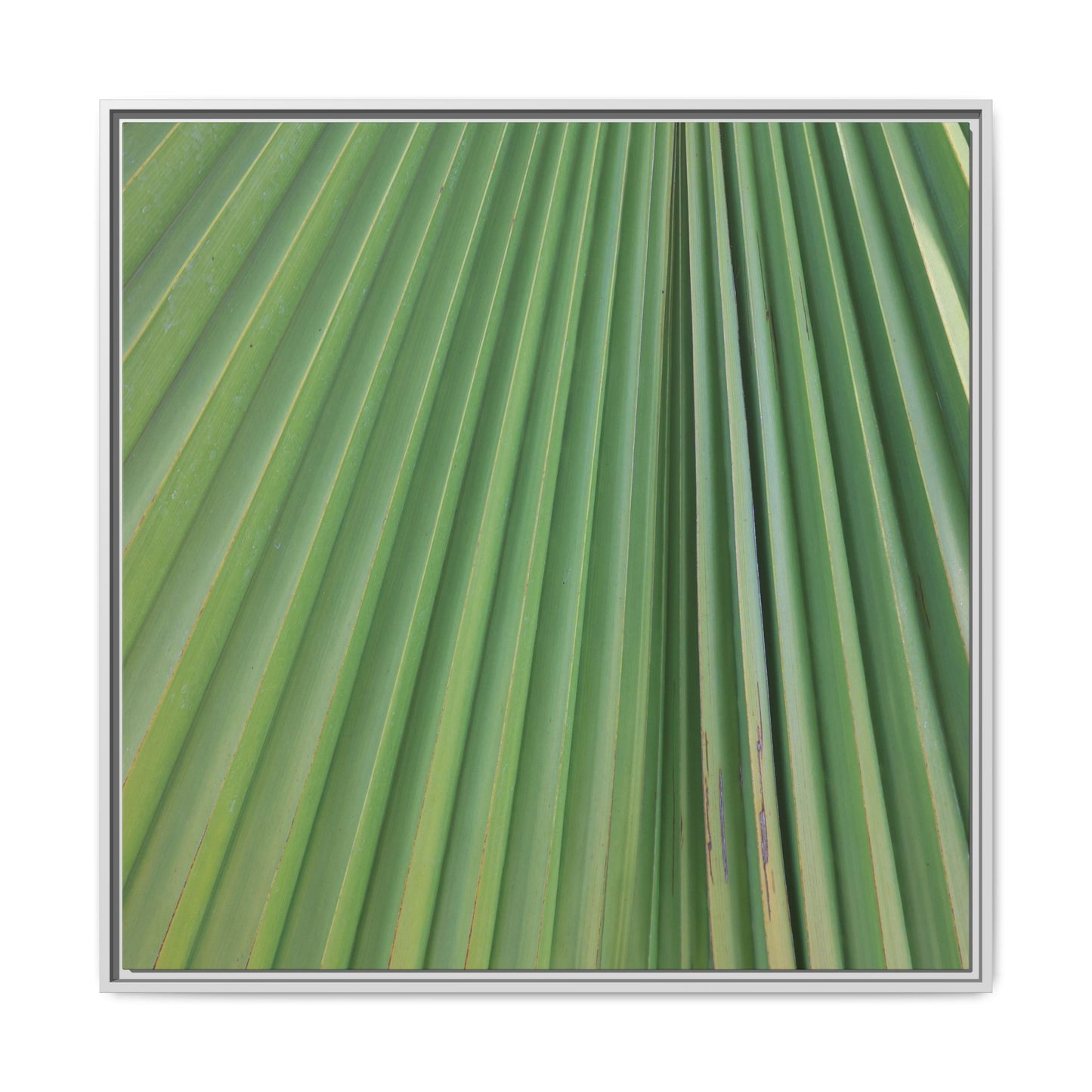 Emerald Rays - Unique Stretched Canvas Wall Art - Art By Earth