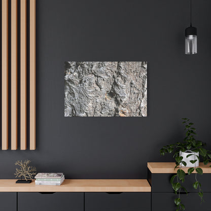 Elemental Canvas - Unique Frameless Canvas Wall Art - Art By Earth
