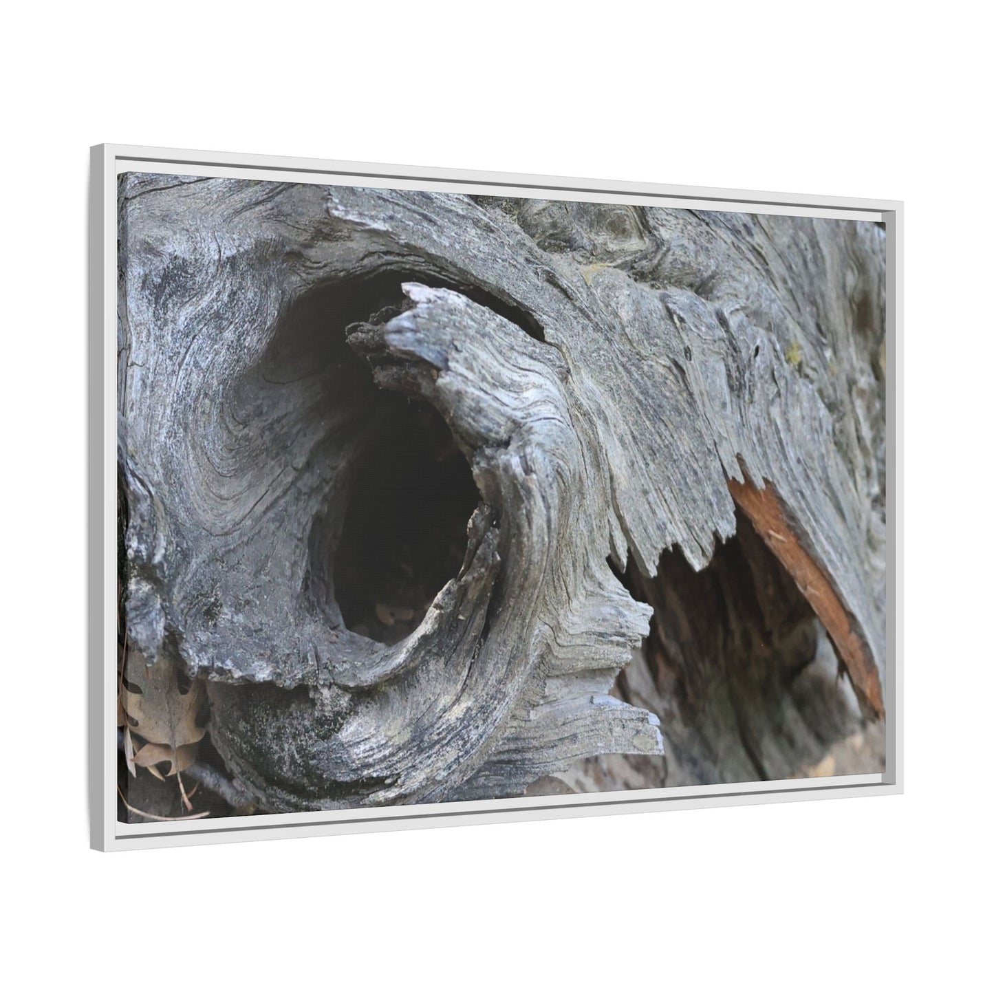 Bark's Labyrinth - Unique Stretched Canvas Wall Art - Art By Earth