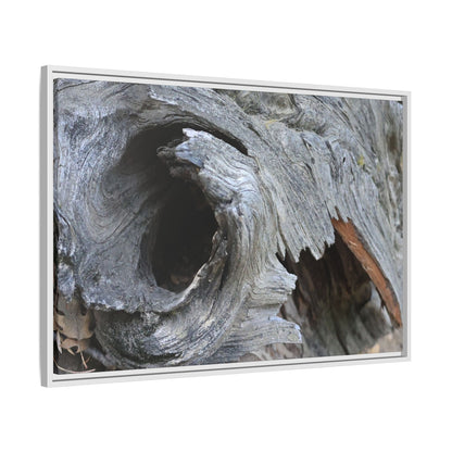Bark's Labyrinth - Unique Stretched Canvas Wall Art - Art By Earth