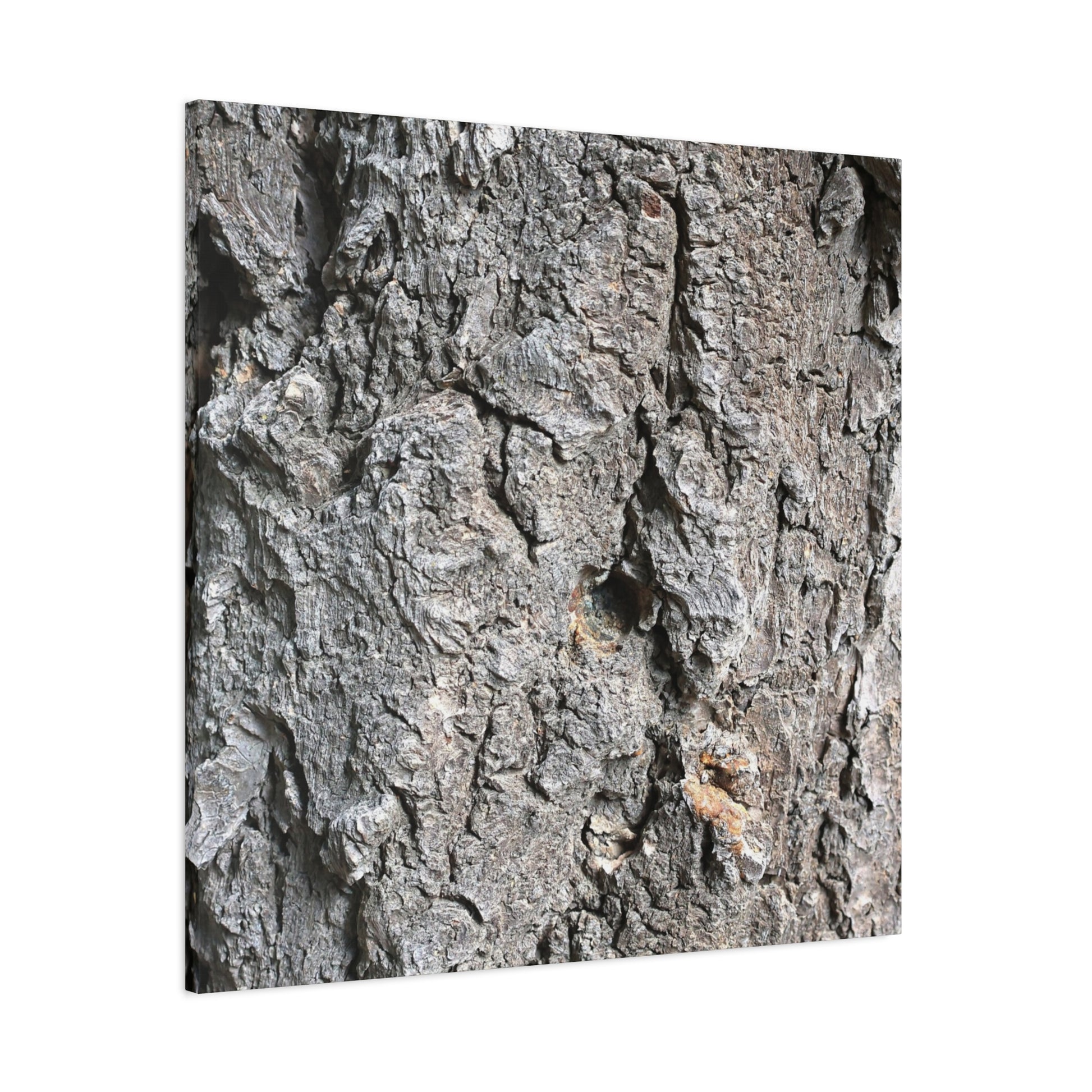 Elemental Canvas - Unique Frameless Canvas Wall Art - Art By Earth