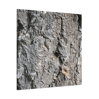 Elemental Canvas - Unique Frameless Canvas Wall Art - Art By Earth