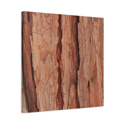 Bark Layers of Time - Unique Frameless Canvas Wall Art - Art By Earth