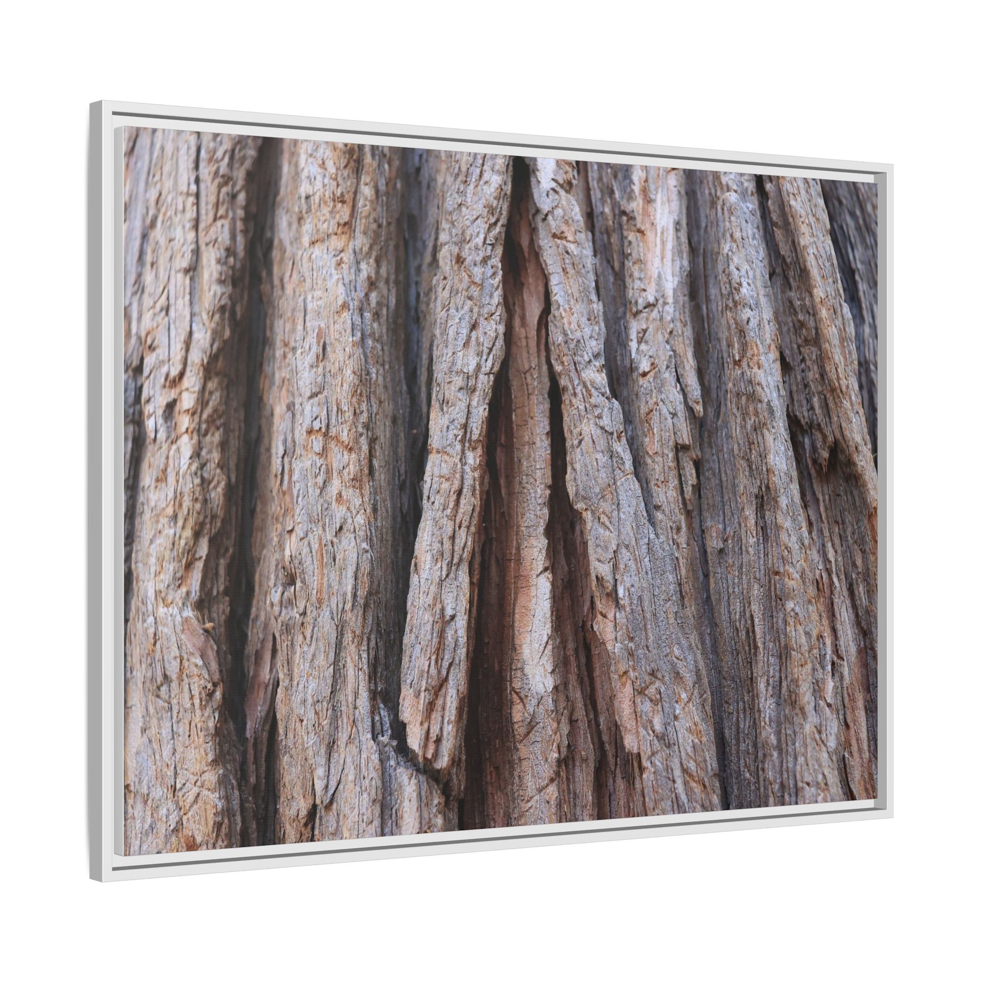 Nature's Sculpture - Unique Stretched Canvas Wall Art - Art By Earth