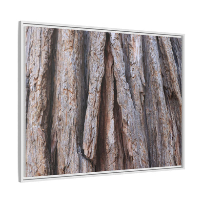 Nature's Sculpture - Unique Stretched Canvas Wall Art - Art By Earth