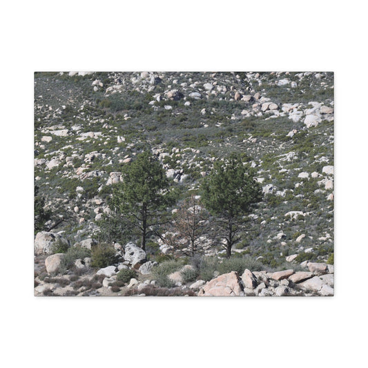 Rocky Mountain Landscape - Unique Frameless Canvas Wall Art - Art By Earth