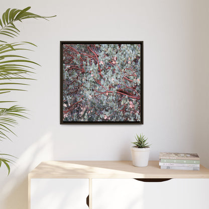 Whispers of Sage - Unique Stretched Canvas Wall Art - Art By Earth