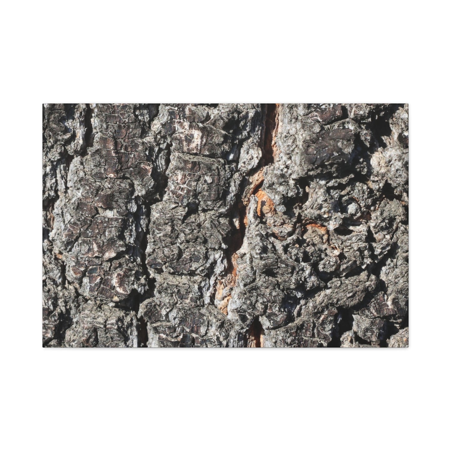 Arboreal Skin - Unique Frameless Canvas Wall Art - Art By Earth