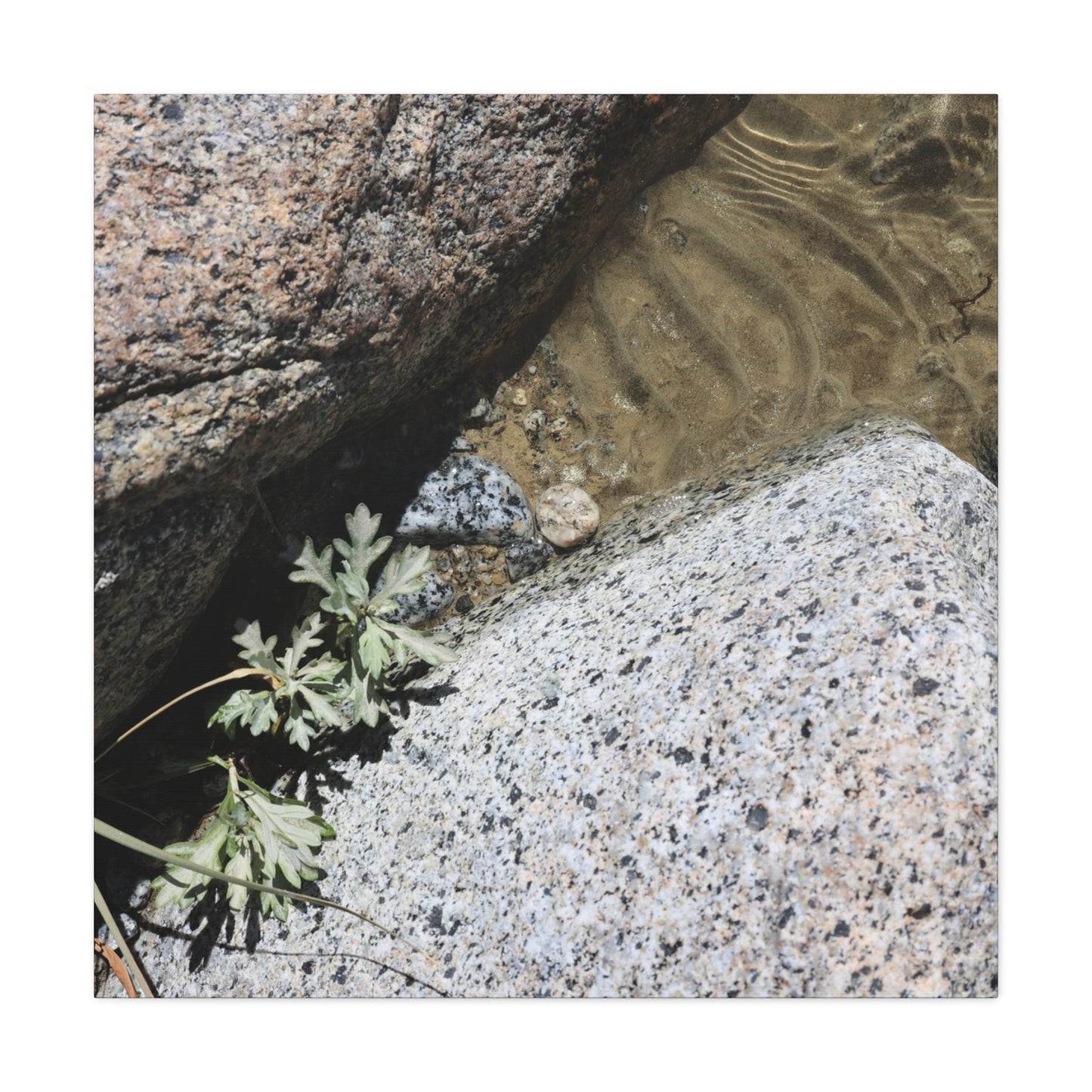 Between Stone and Sand - Unique Frameless Canvas Wall Art - Art By Earth