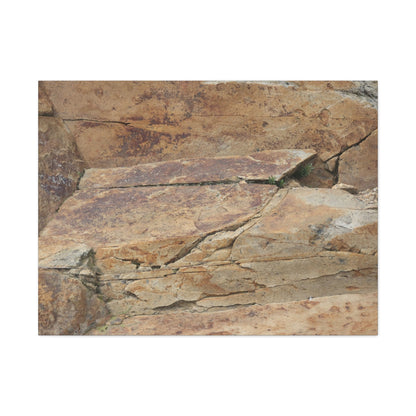 Rocky Terrain - Unique Frameless Canvas Wall Art - Art By Earth