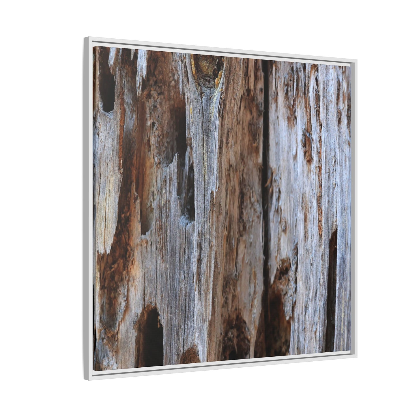 Decaying Splendor - Unique Stretched Canvas Wall Art - Art By Earth