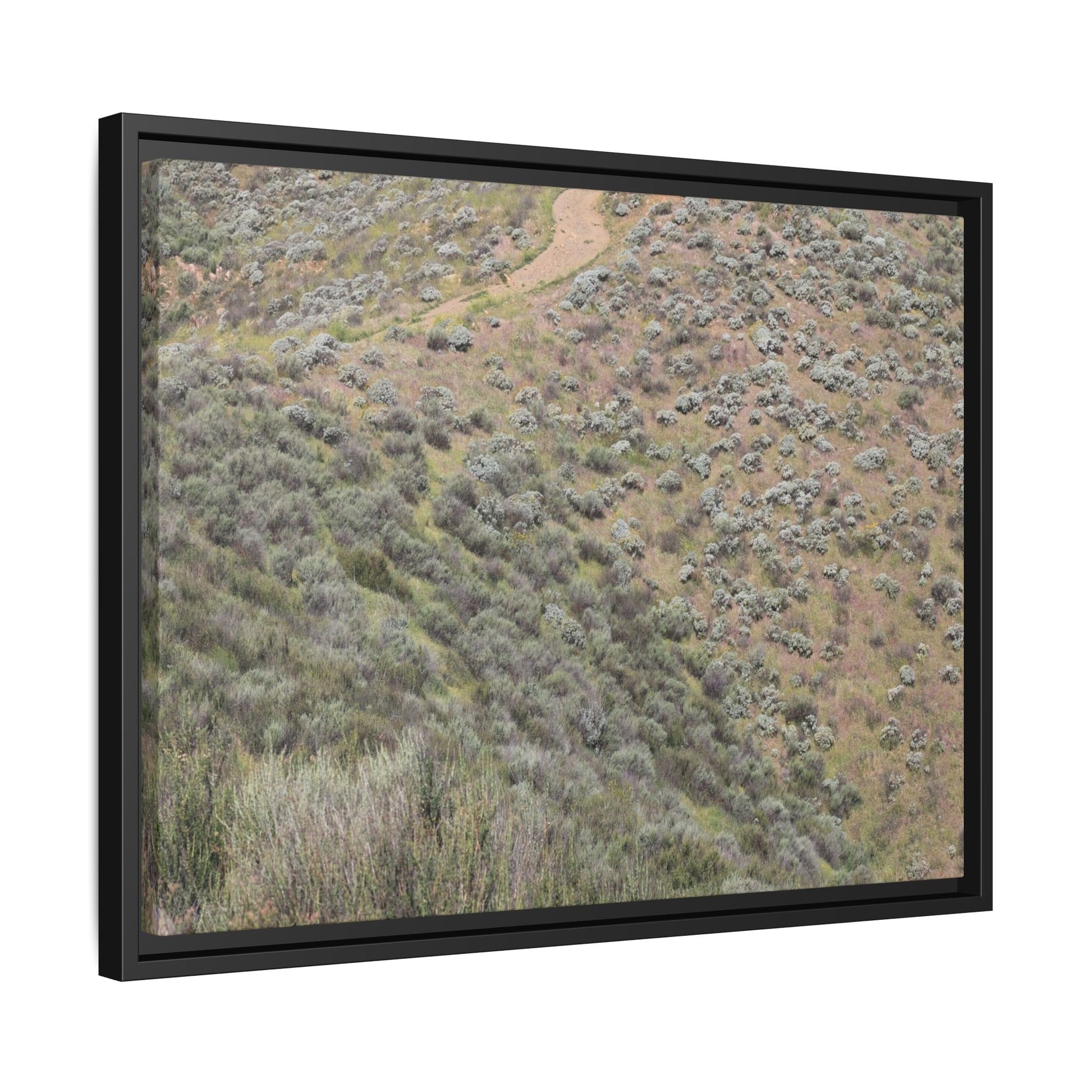 Arid Landscape with Winding Path - Unique Stretched Canvas Wall Art - Art By Earth