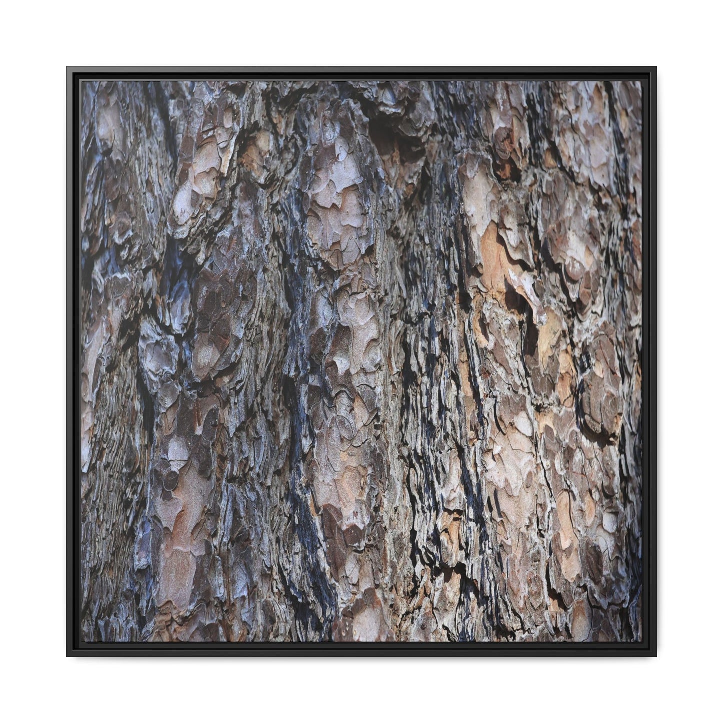 Weathered Patterns - Unique Stretched Canvas Wall Art - Art By Earth