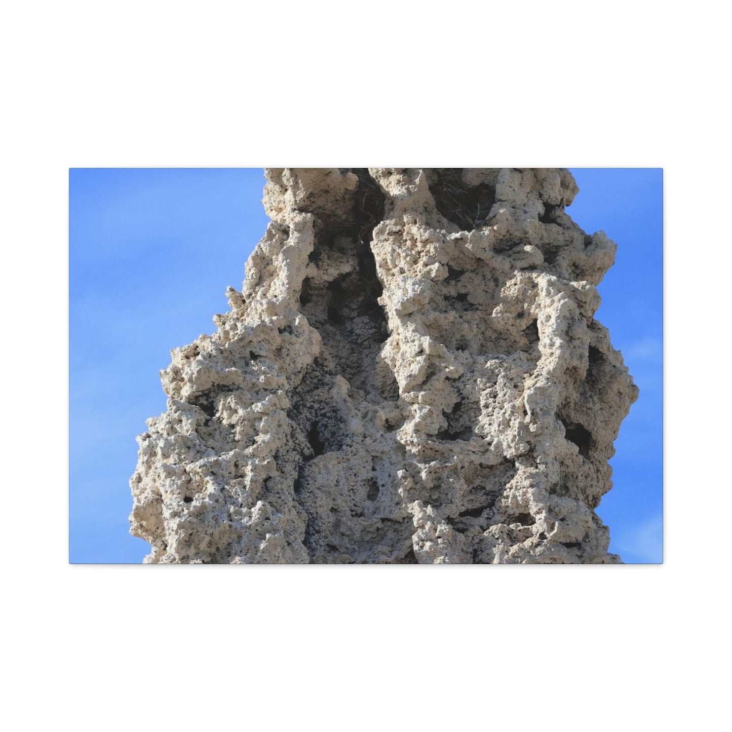 Calcified Whispers - Unique Frameless Canvas Wall Art