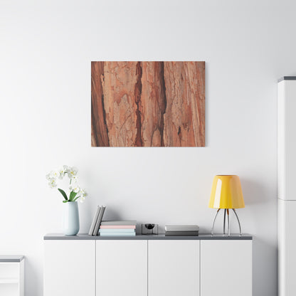 Bark Layers of Time - Unique Frameless Canvas Wall Art - Art By Earth