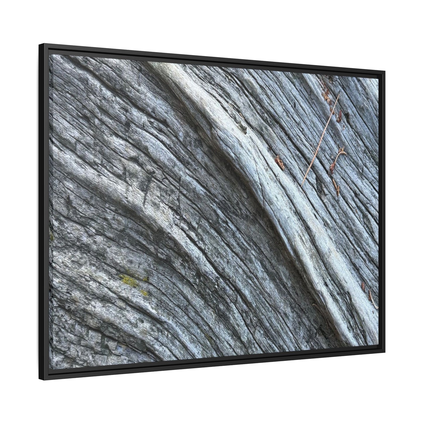 Aged Timber - Unique Stretched Canvas Wall Art - Art By Earth