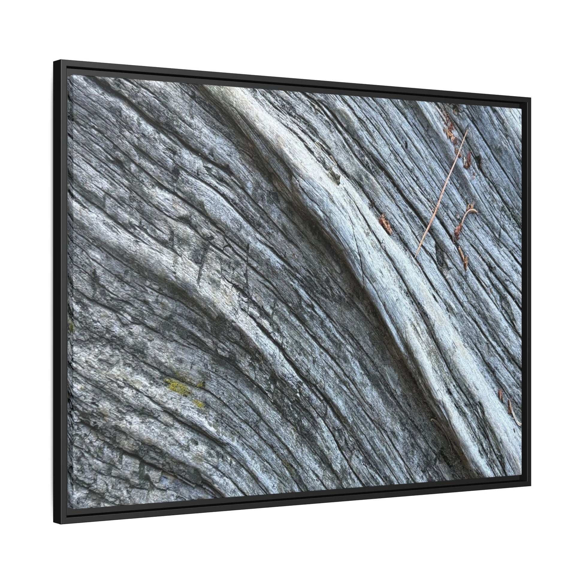 Aged Timber - Unique Stretched Canvas Wall Art - Art By Earth