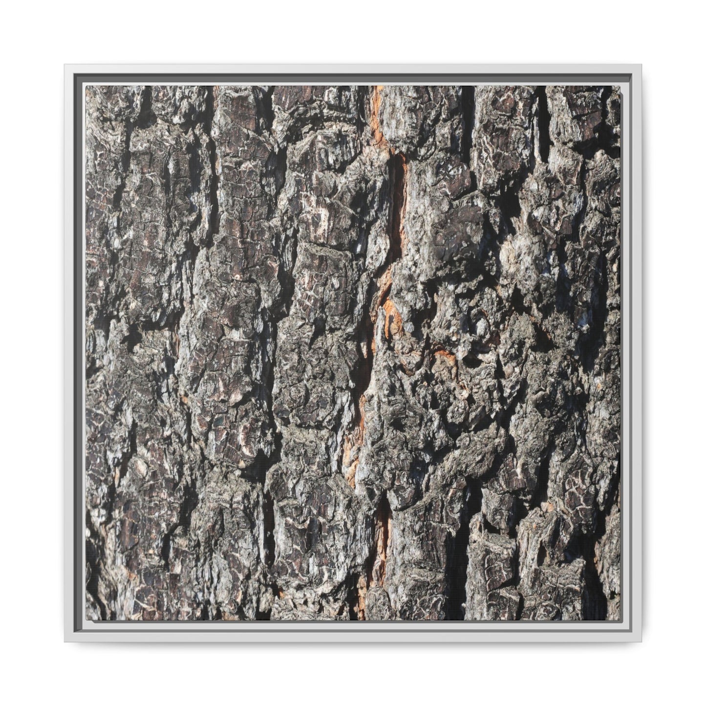 Aged Beauty - Unique Stretched Canvas Wall Art - Art By Earth