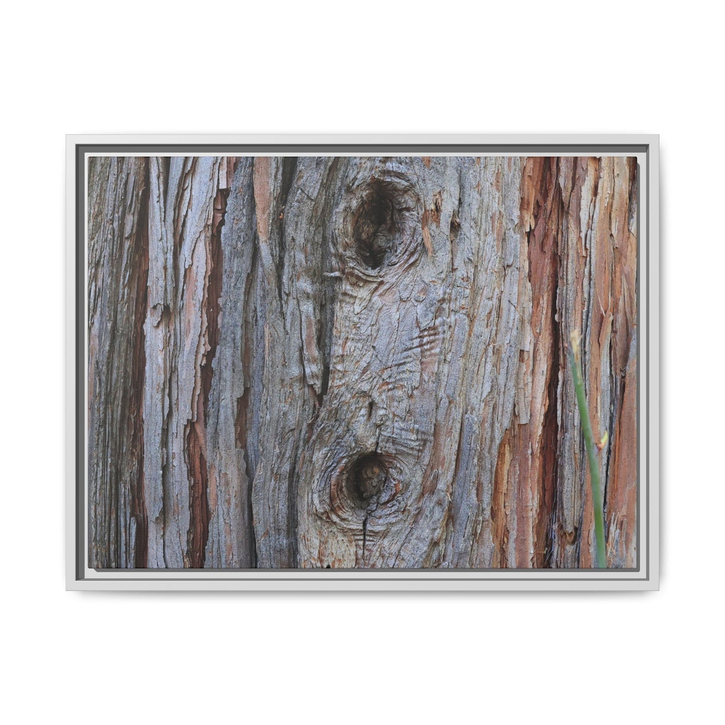 Knotty Nature - Unique Stretched Canvas Wall Art - Art By Earth