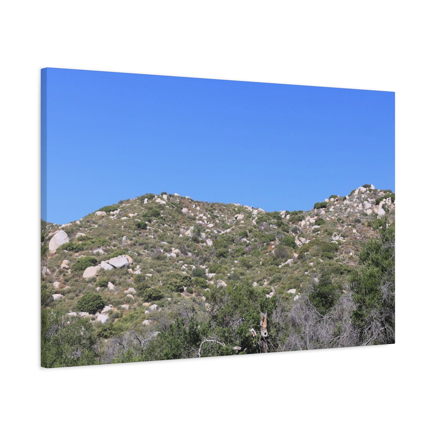 Rocky Hills with Desert Vegetation - Unique Frameless Canvas Wall Art