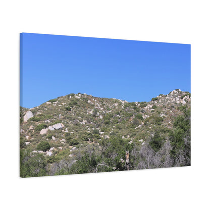 Rocky Hills with Desert Vegetation - Unique Frameless Canvas Wall Art