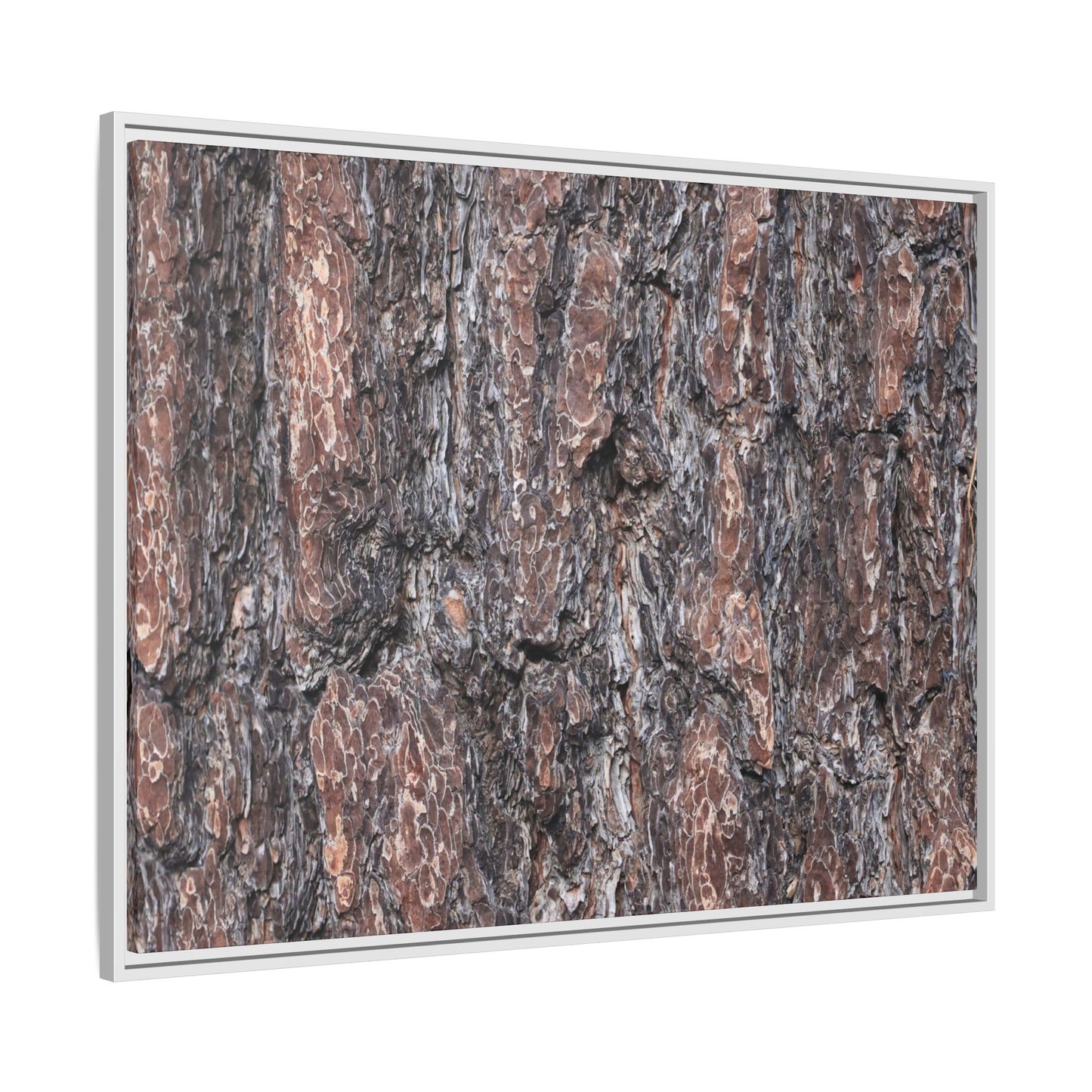 Echoes of Wood - Unique Stretched Canvas Wall Art