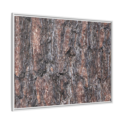 Echoes of Wood - Unique Stretched Canvas Wall Art