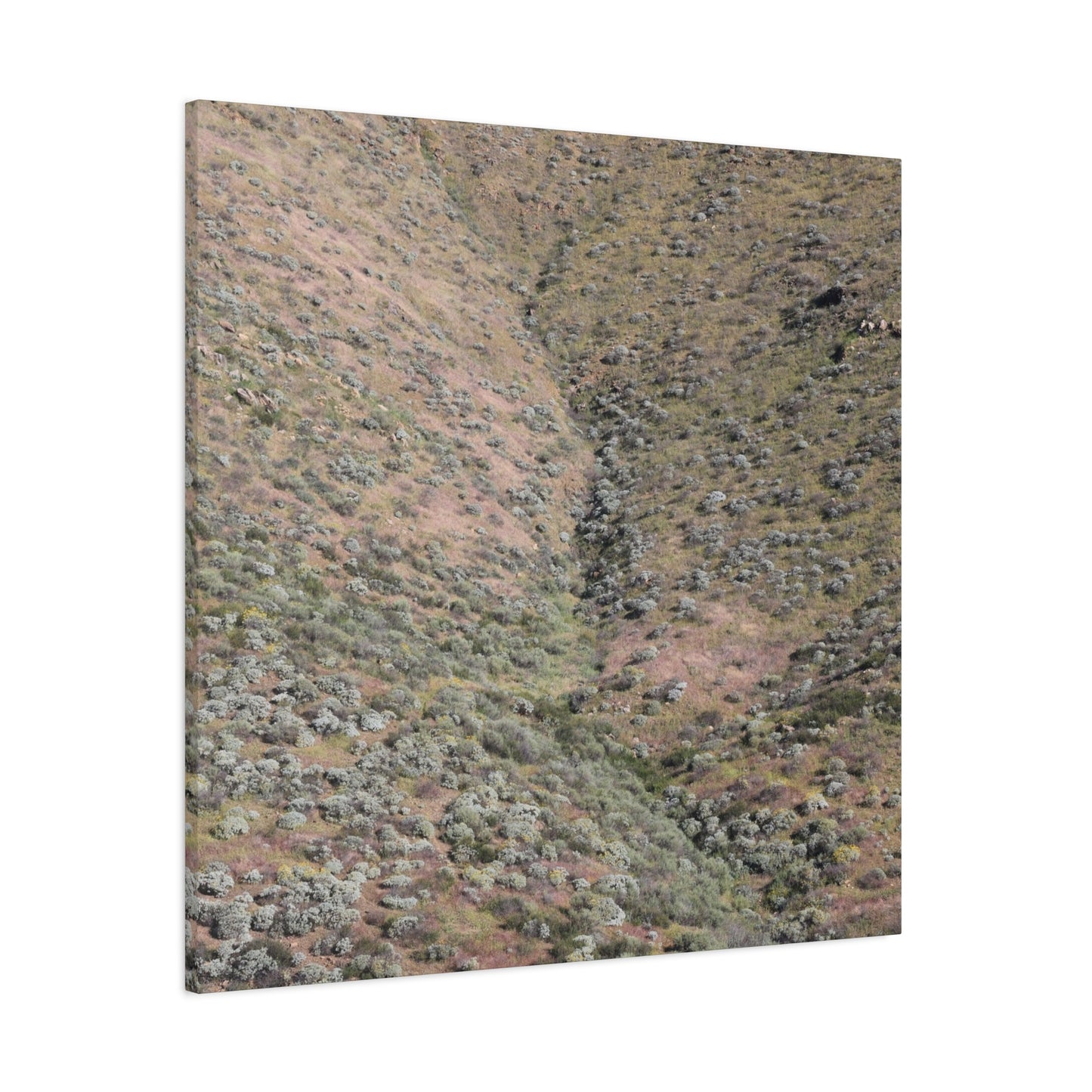 Desert Hillside - Unique Frameless Canvas Wall Art - Art By Earth