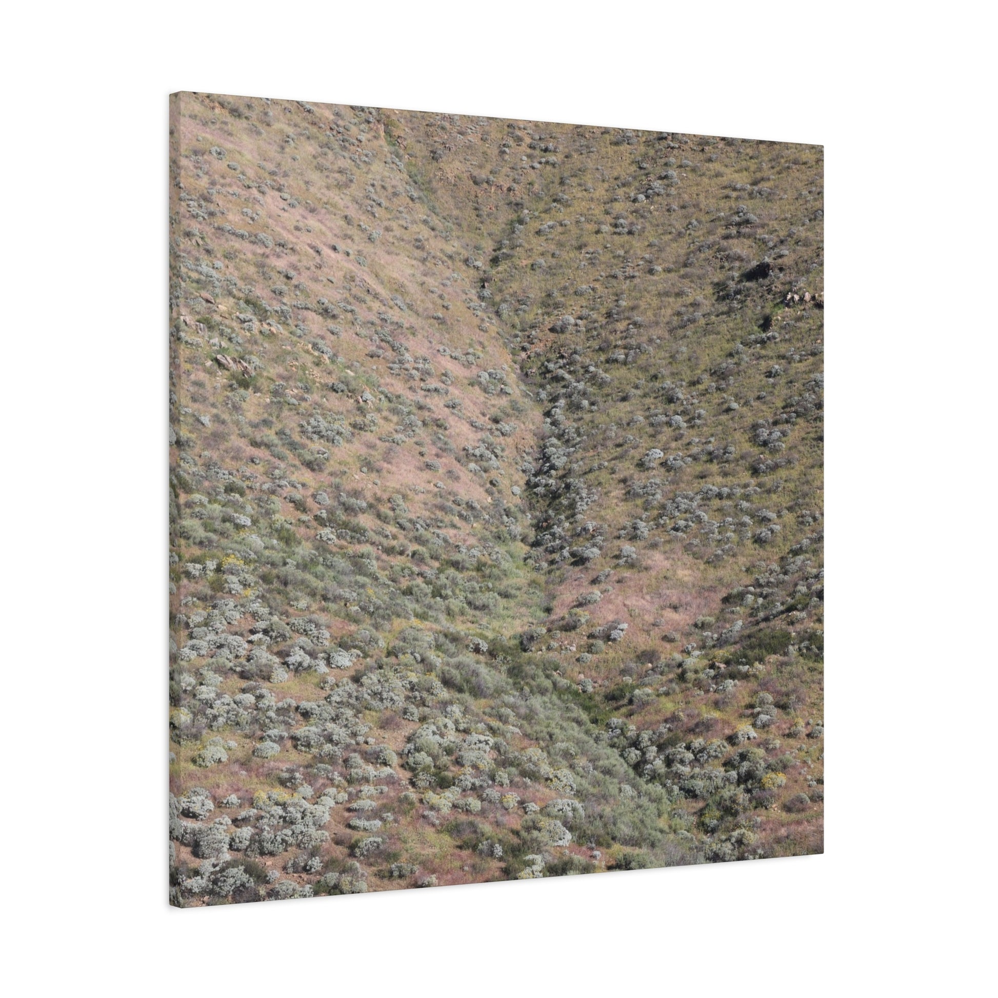Desert Hillside - Unique Frameless Canvas Wall Art - Art By Earth