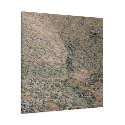 Desert Hillside - Unique Frameless Canvas Wall Art - Art By Earth
