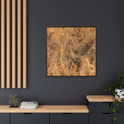 Dried Vegetation Study - Unique Stretched Canvas Wall Art - Art By Earth