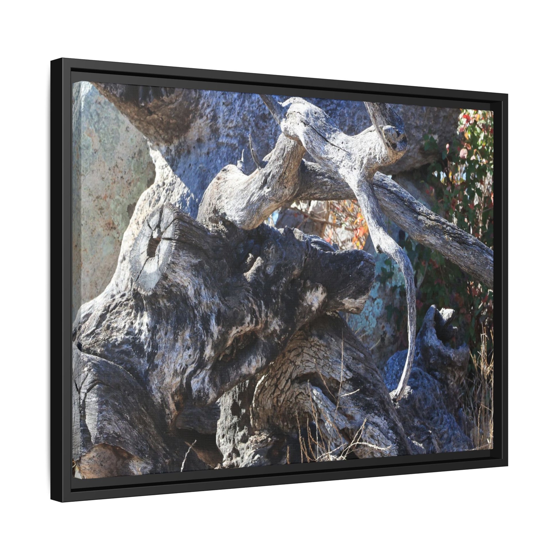 Resilient Roots - Unique Stretched Canvas Wall Art - Art By Earth