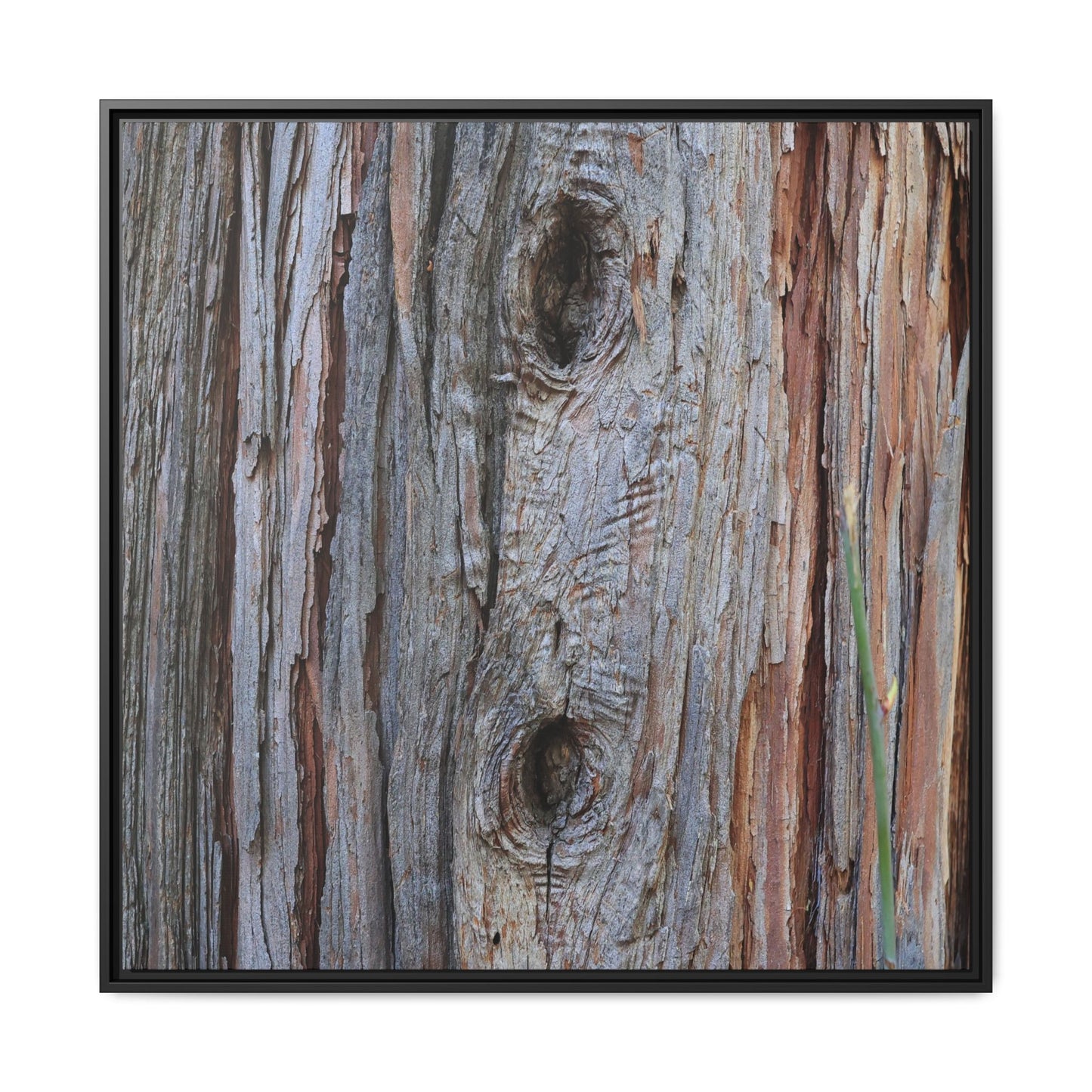 Knotty Nature - Unique Stretched Canvas Wall Art - Art By Earth