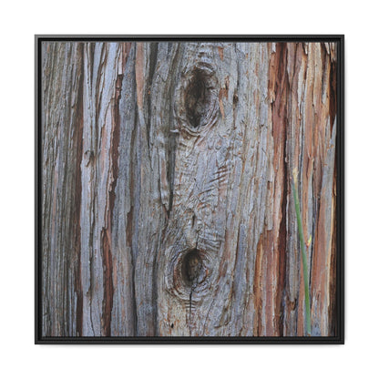 Knotty Nature - Unique Stretched Canvas Wall Art - Art By Earth
