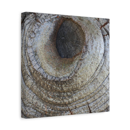 Bark's Eye - Unique Frameless Canvas Wall Art - Art By Earth