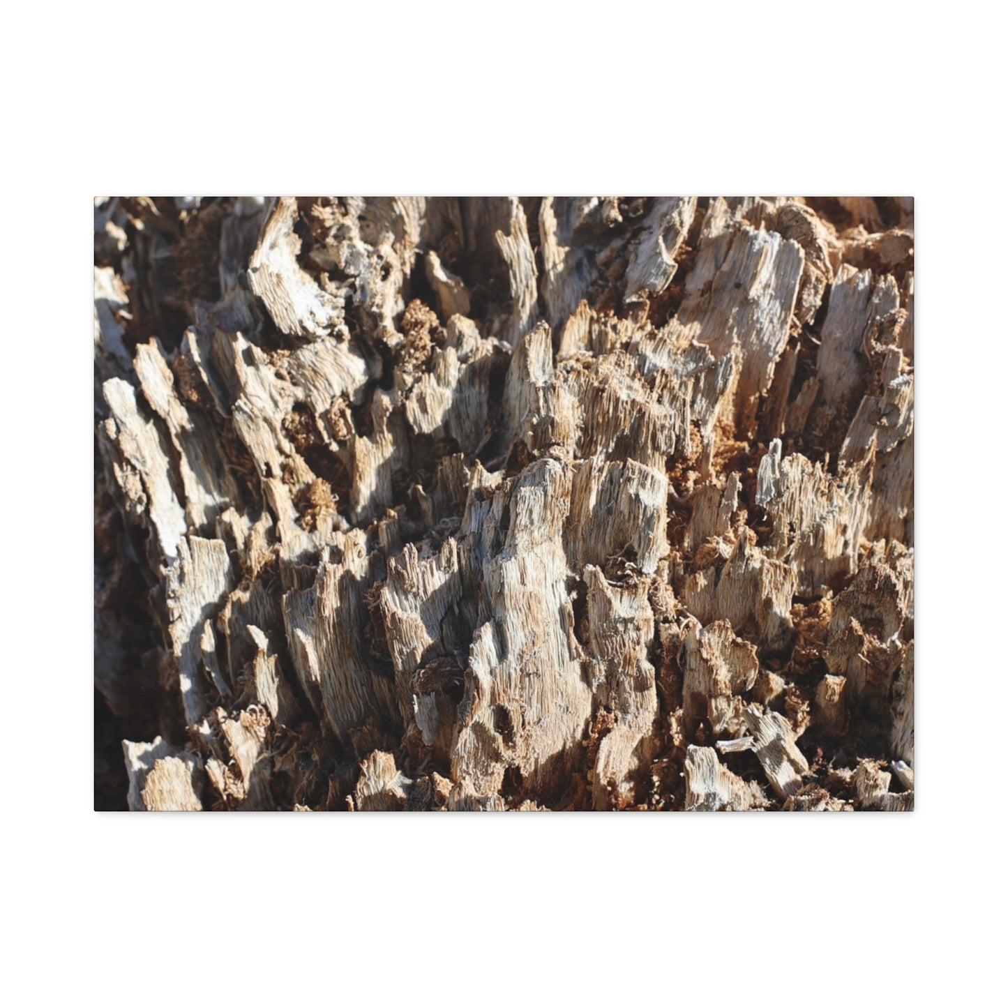 Decaying Bark Symphony - Unique Frameless Canvas Wall Art