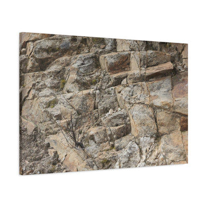 Broken Rock Canvas - Unique Frameless Canvas Wall Art - Art By Earth