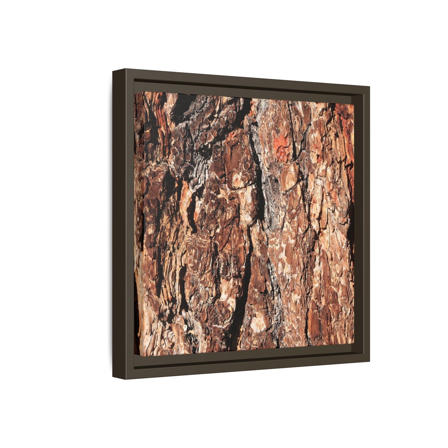 Nature's Rugged Canvas - Unique Stretched Canvas Wall Art