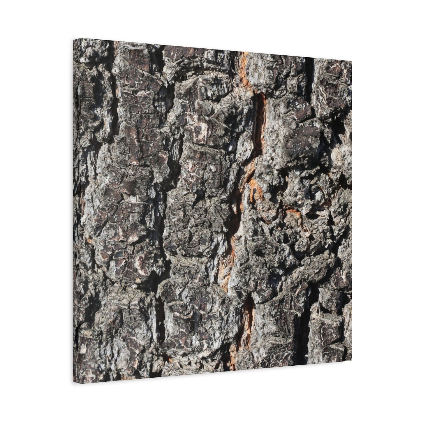 Arboreal Skin - Unique Frameless Canvas Wall Art - Art By Earth