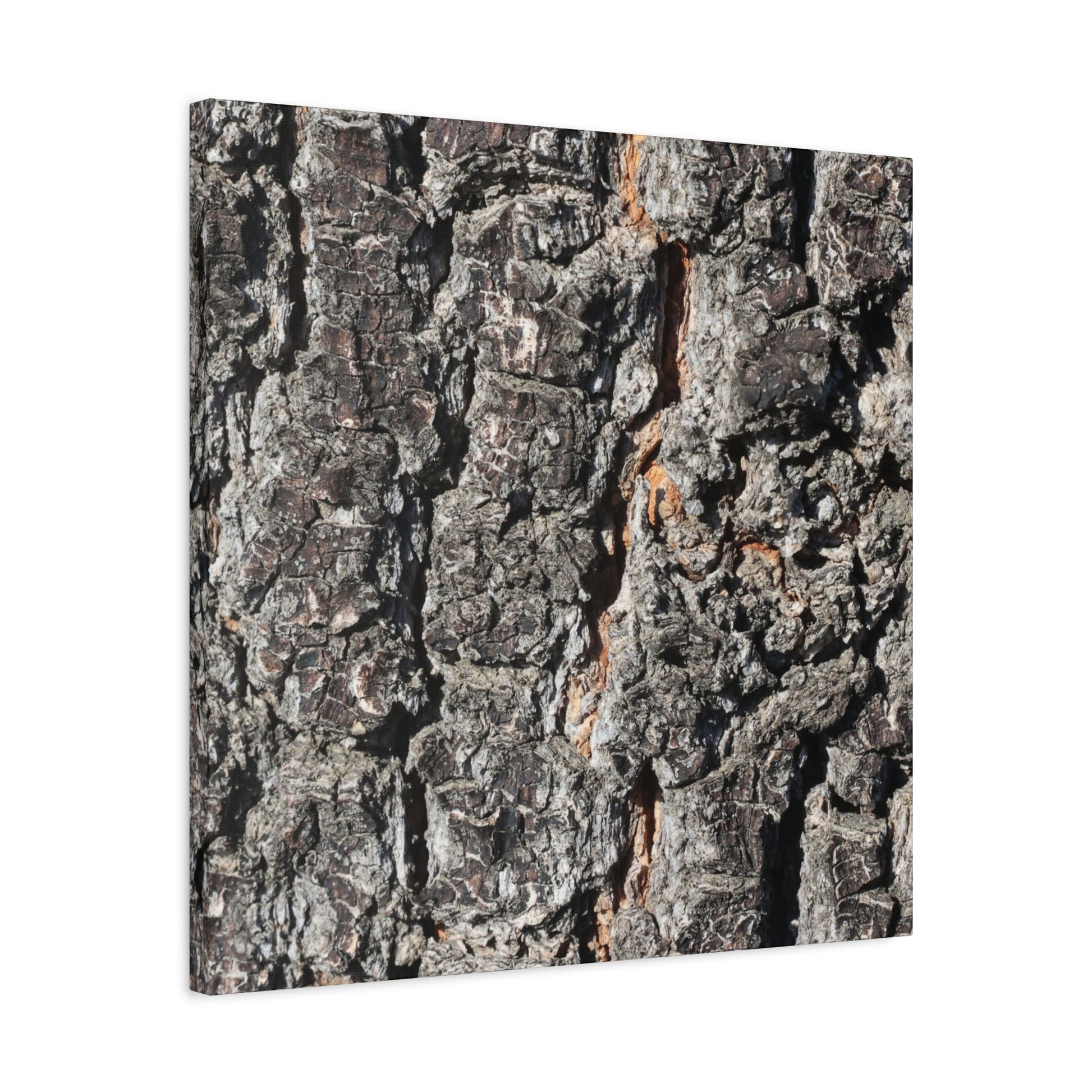 Arboreal Skin - Unique Frameless Canvas Wall Art - Art By Earth