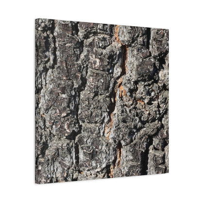 Arboreal Skin - Unique Frameless Canvas Wall Art - Art By Earth