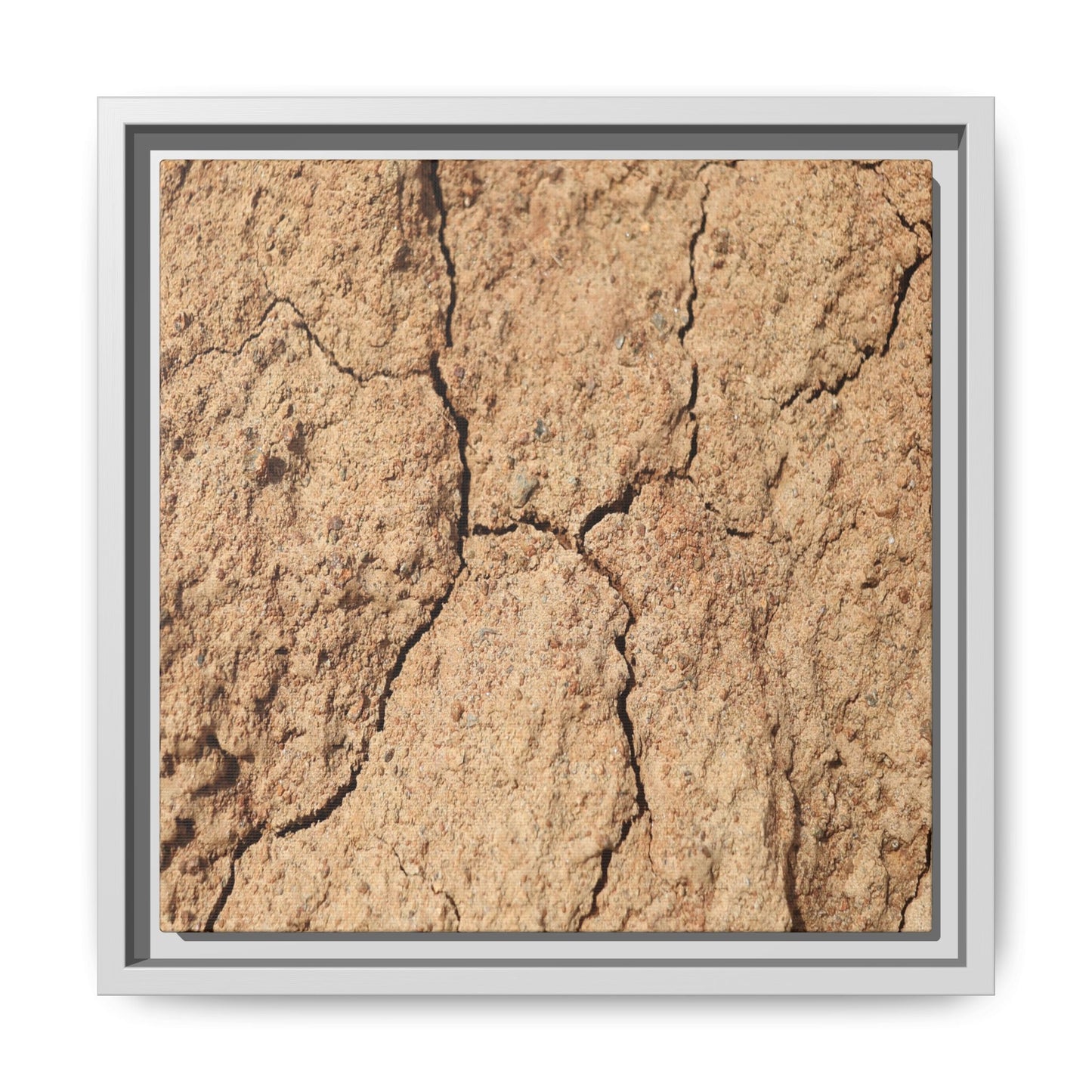 Parched Land - Unique Stretched Canvas Wall Art - Art By Earth