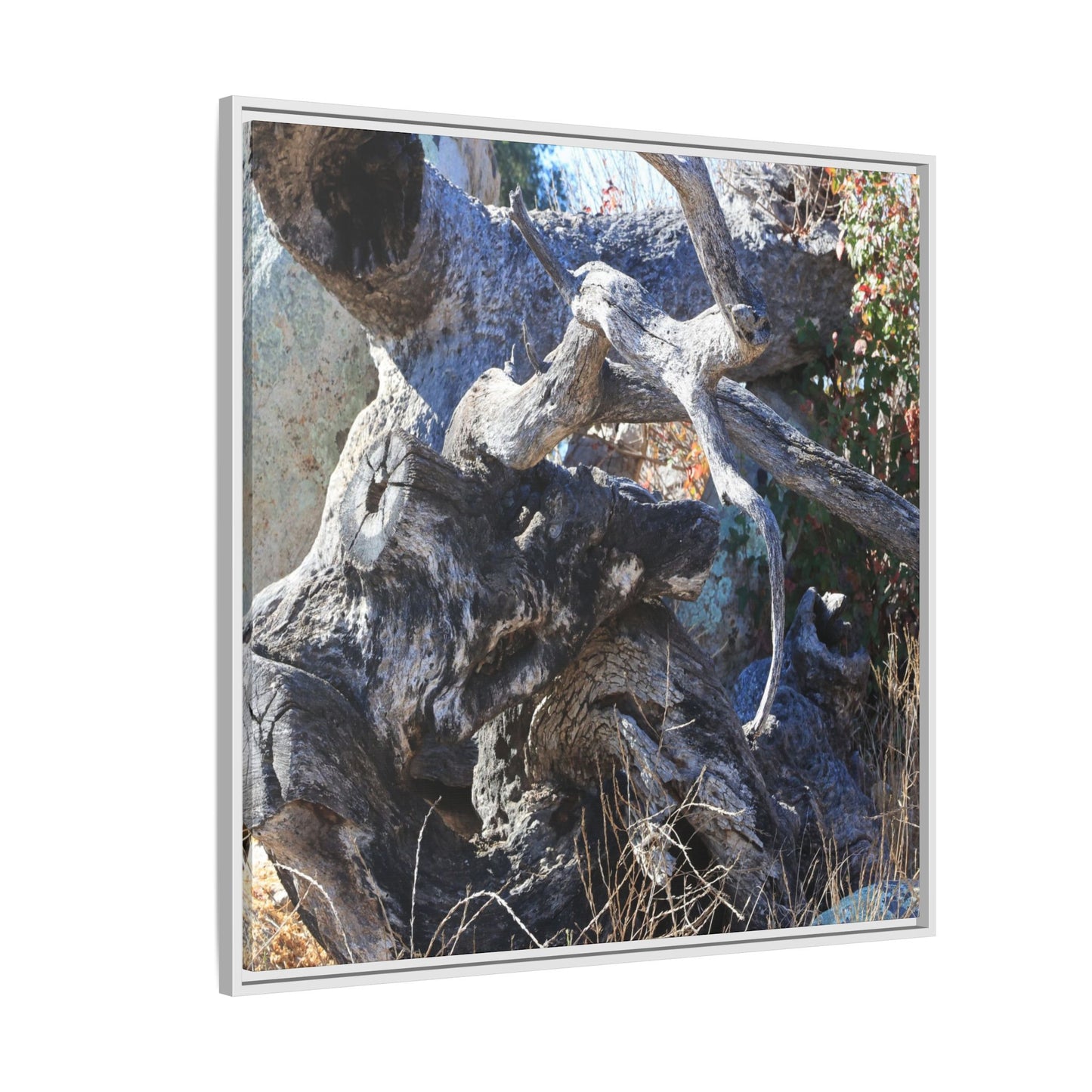 Resilient Roots - Unique Stretched Canvas Wall Art - Art By Earth