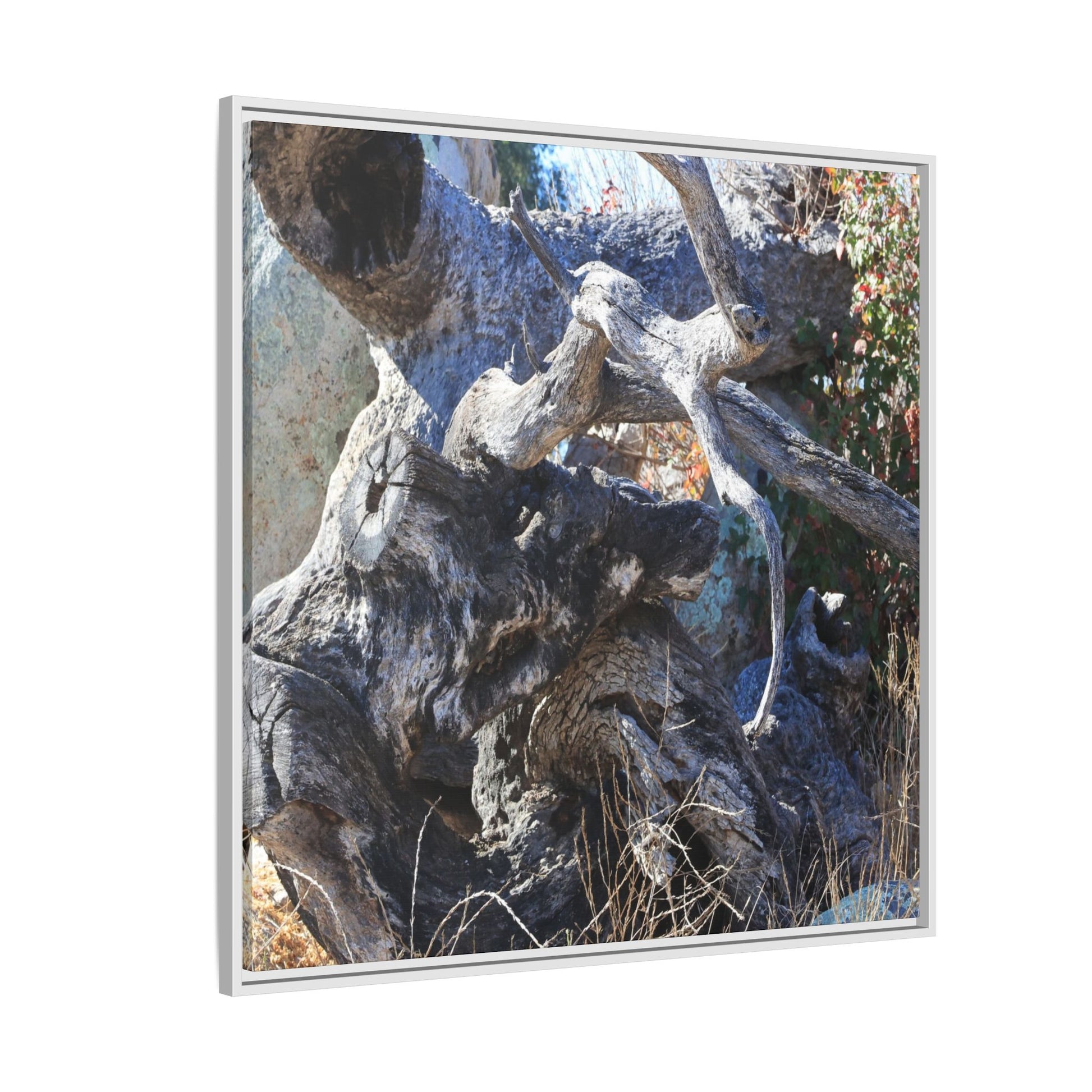 Resilient Roots - Unique Stretched Canvas Wall Art - Art By Earth