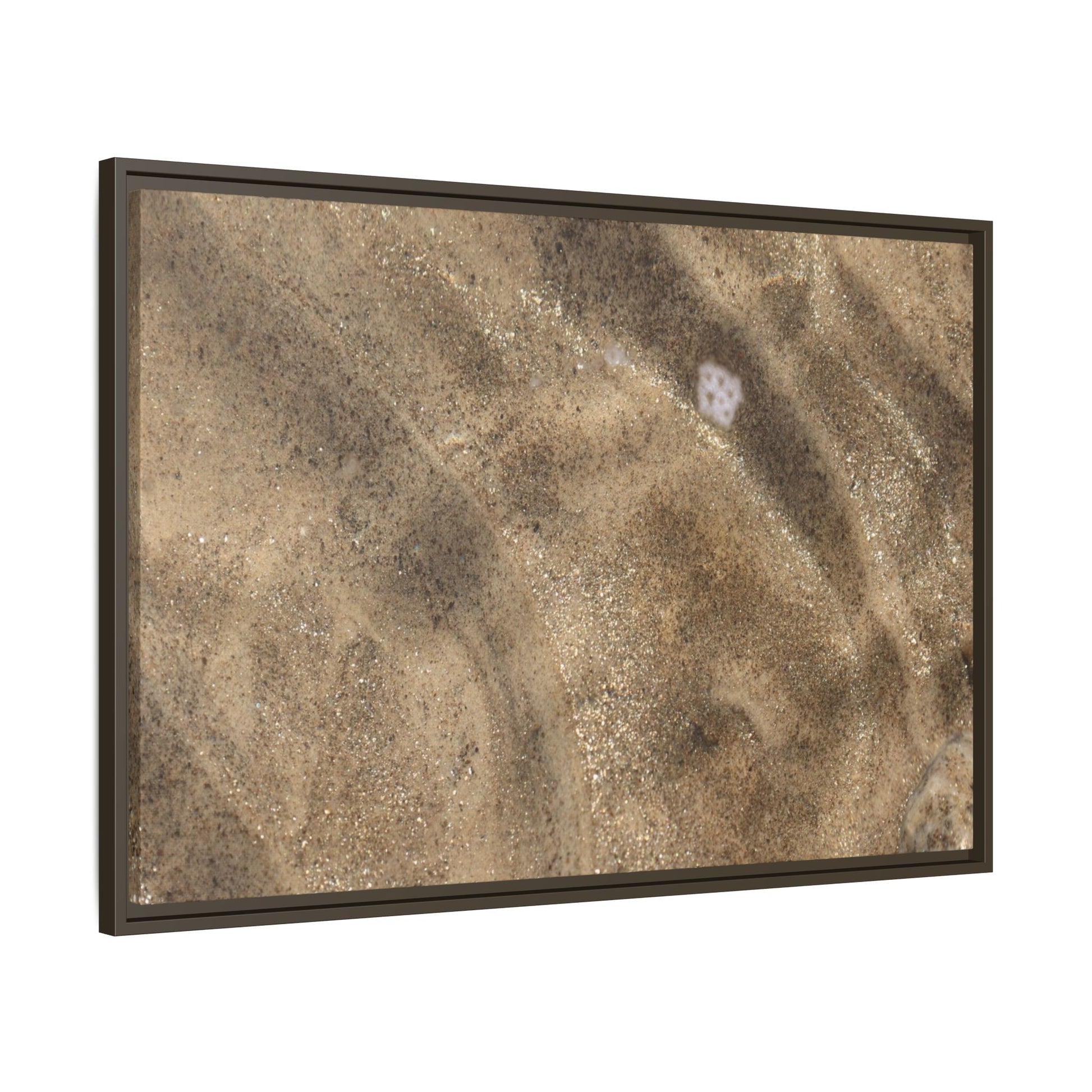 Underwater Sand Exploration - Unique Stretched Canvas Wall Art - Art By Earth