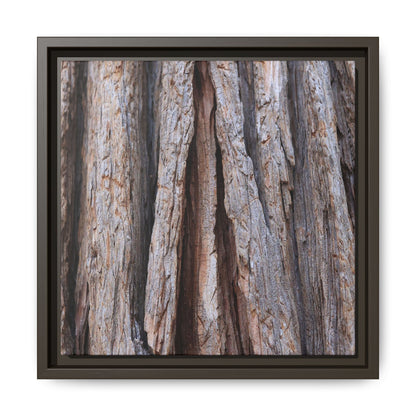 Nature's Sculpture - Unique Stretched Canvas Wall Art - Art By Earth