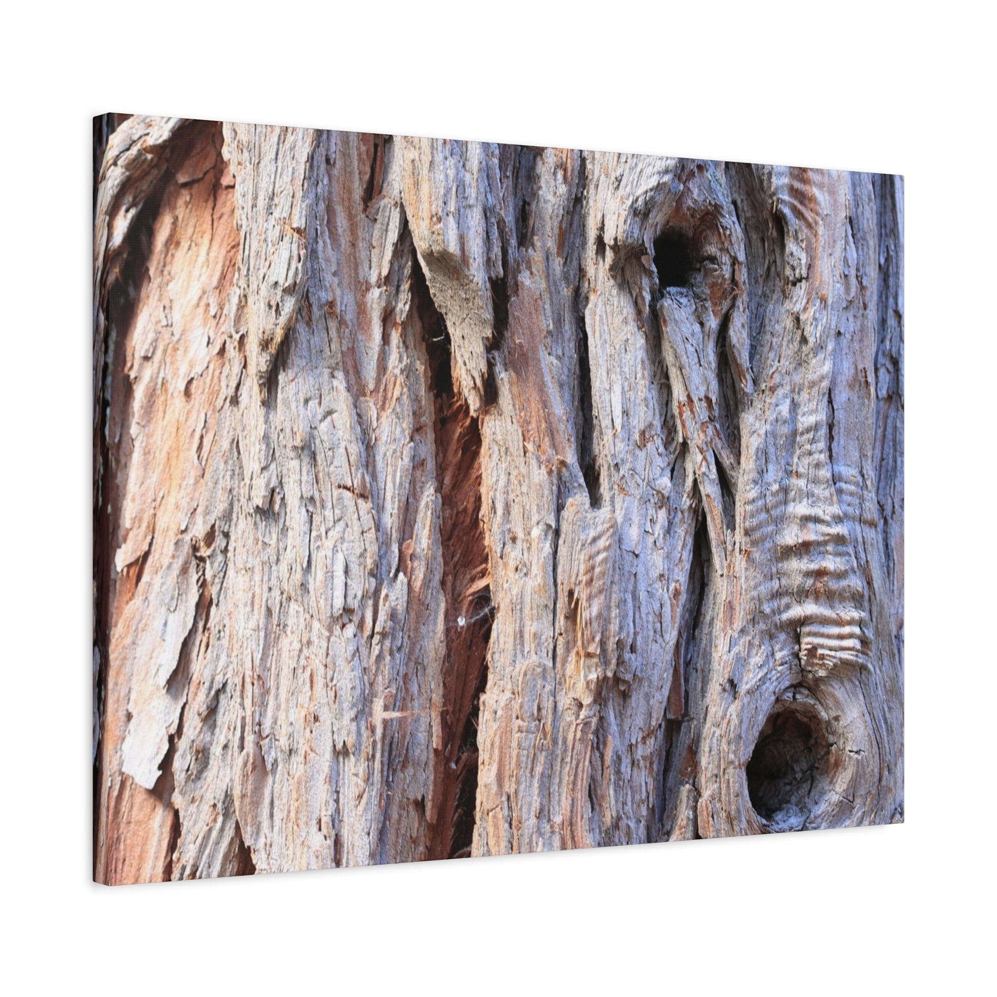 Aged Bark Surface - Unique Frameless Canvas Wall Art - Art By Earth