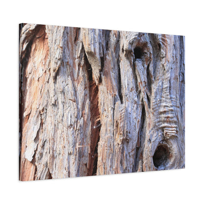 Aged Bark Surface - Unique Frameless Canvas Wall Art - Art By Earth